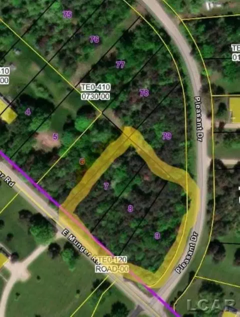 0 Blk Pleasant, Tecumseh, MI 49286 photo 2