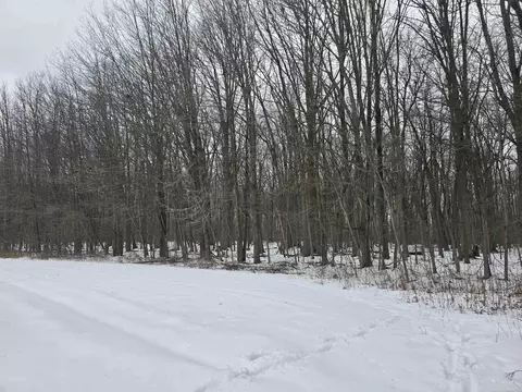 0 Cryderman, Richmond Twp, MI 48062