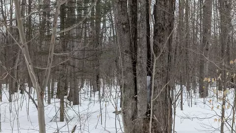 tbd Greenway, Frederic, MI 49733 photo 8