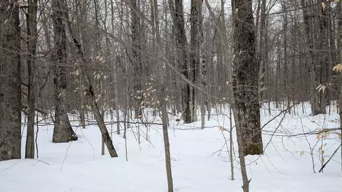 tbd Greenway, Frederic, MI 49733 photo 7