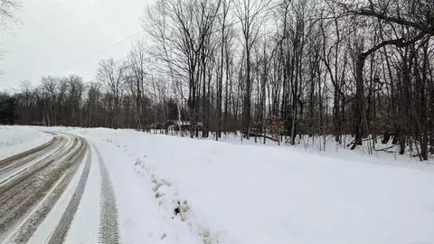 tbd Greenway, Frederic, MI 49733 photo 3