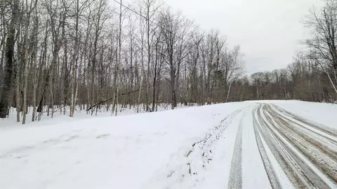 tbd Greenway, Frederic, MI 49733 photo 2