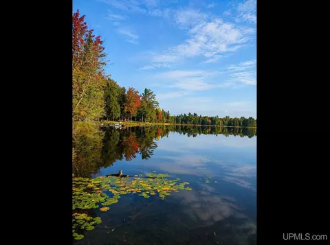 301 301b Robinson Lk # A, Iron River, MI 49935