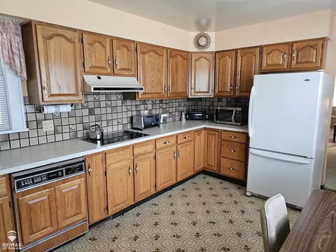 201 Clinton, Ovid, MI 48866 photo 21