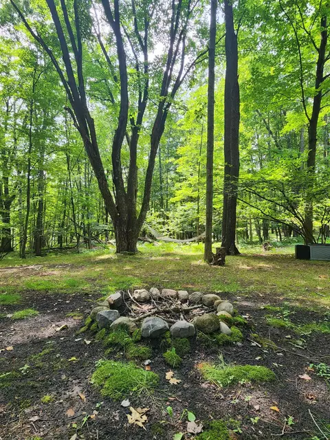 5462 Oak, Farwell, MI 48622