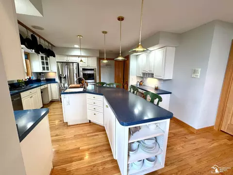 7623 Jackman, Temperance, MI 48182 photo 23