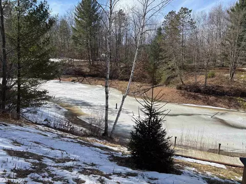 View/Area - 549 Rivers, Gladwin, MI 48624 photo 7 of 7