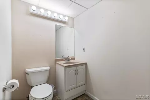 1706 Wind Dancer, Tecumseh, MI 49286 photo 44