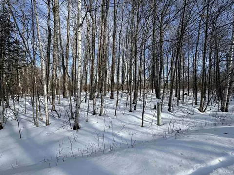 lot64 Little Deer, Iron River, MI 49935