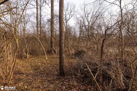 Exterior - 6169 Flushing, Flushing, MI 48433 photo 6 of 10