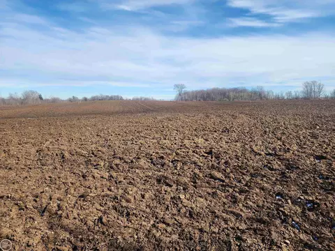 4750 E Snover, Carsonville, MI 48419