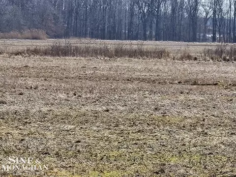V/l Springborn, Casco, MI 48064