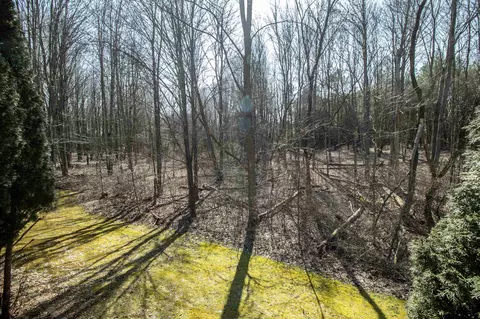 10103 W Mount Morris, Flushing, MI 48433 photo 60