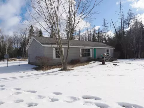 4531 Alpena State, Cheboygan, MI 49721