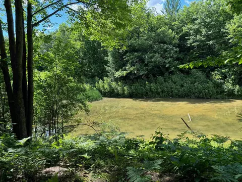 496 White, Gladwin, MI 48624 photo 18