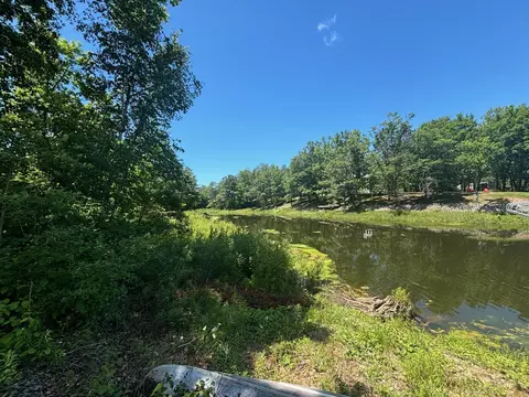 lot41 Mohawk, Gladwin, MI 48624 photo 3