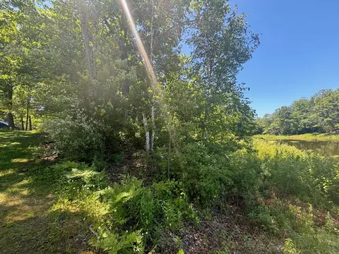lot41 Mohawk, Gladwin, MI 48624 photo 7