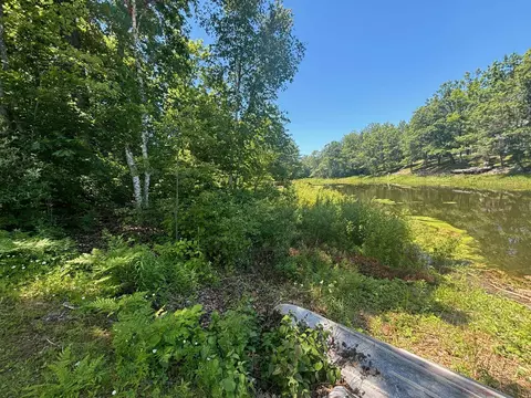 lot41 Mohawk, Gladwin, MI 48624