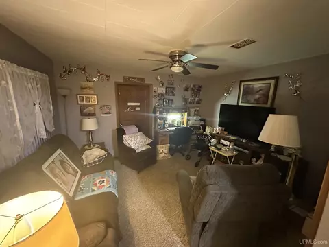 1216 S S Pne, Ishpeming, MI 49849 photo 14