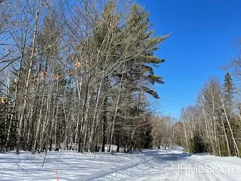 160 Forest Hls, Marquette, MI 49855