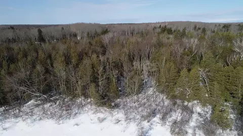 tbd Long Pt, Curtis, MI 49820 photo 27