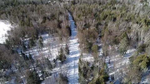 tbd Long Pt, Curtis, MI 49820 photo 20