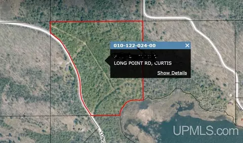 tbd Long Pt, Curtis, MI 49820 photo 3