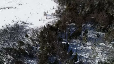 tbd Long Pt, Curtis, MI 49820 photo 22