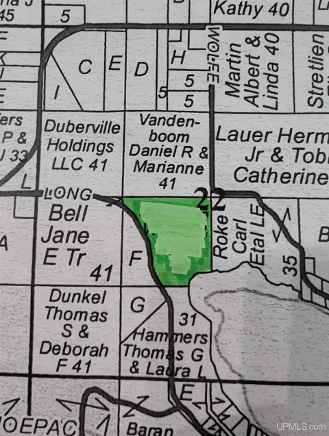 tbd Long Pt, Curtis, MI 49820 photo 4
