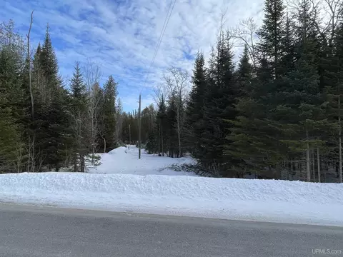 tbd Long Pt, Curtis, MI 49820 photo 68
