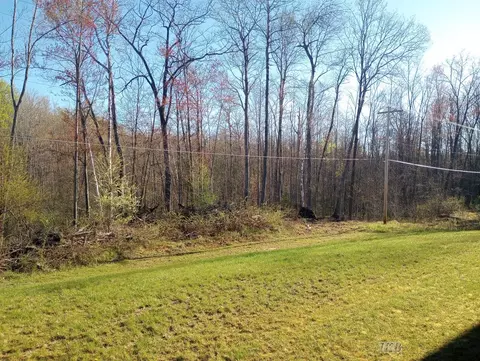 4861 Forest, Harrison, MI 48625 photo 28