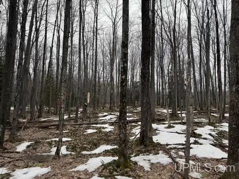 tbd Waisanen, L'anse, MI 49946
