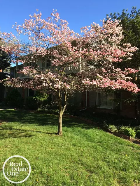 Exterior - 161 Stephens, Grosse Pointe Farms, MI 48236 photo 16 of 16
