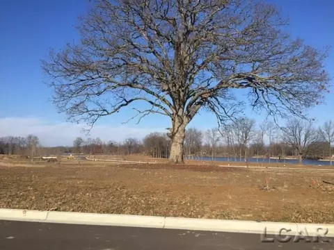 732 Red Ml, Tecumseh, MI 49286 photo 7