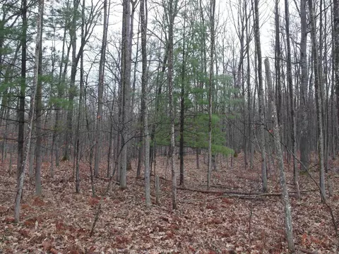00 Boutilier, Lake, MI 48632