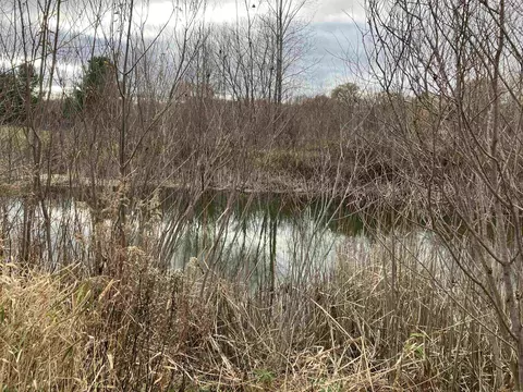1236 E Wirtz, Gladwin, MI 48624 photo 3