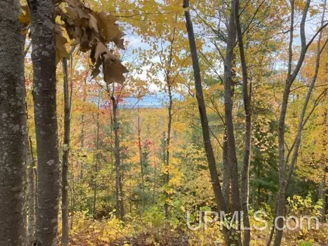 40 Acres Off Cr 510, Big Bay, MI 49808