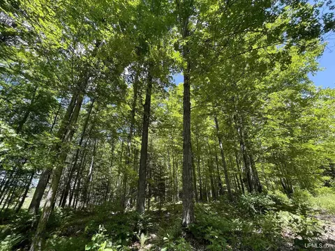 412 Cedardale 28th Rd, Cornell, MI 49818 photo 31