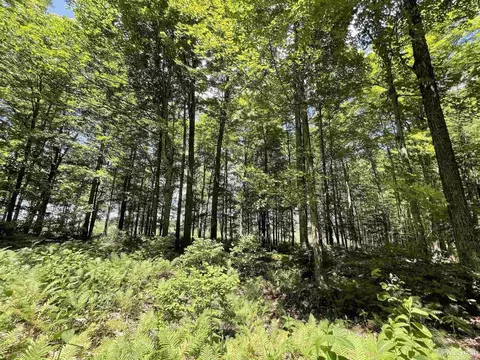 412 Cedardale 28th Rd, Cornell, MI 49818 photo 32