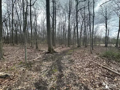 Other - 9405 Crabb, Temperance, MI 48182 photo 6 of 11