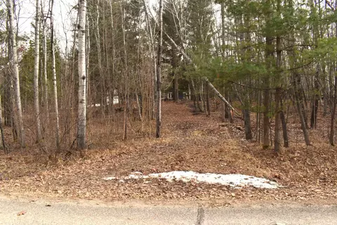 lot161 King Henry, Gladwin, MI 48624
