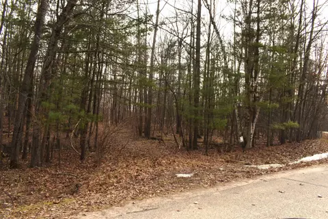 lot162 King Henry, Gladwin, MI 48624