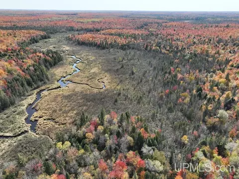 000 Sucker Lk, Watersmeet, MI 49969