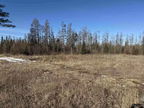 tbd Off M69 Stebbins, Perronville, MI 49807