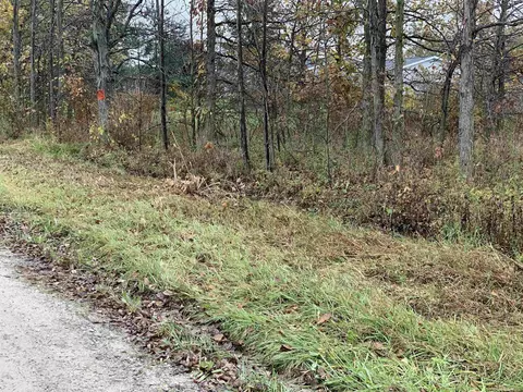 0 Wade, Capac, MI 48014 photo 6