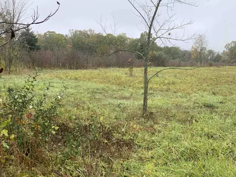 0 Wade, Capac, MI 48014 photo 2