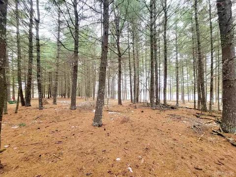 County Park, Stephenson, MI 49887 photo 4