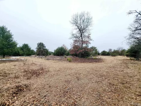County Park, Stephenson, MI 49887 photo 10