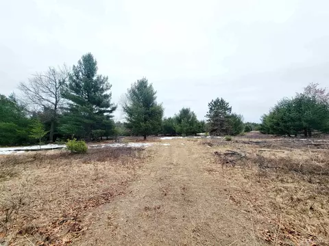 County Park, Stephenson, MI 49887 photo 9