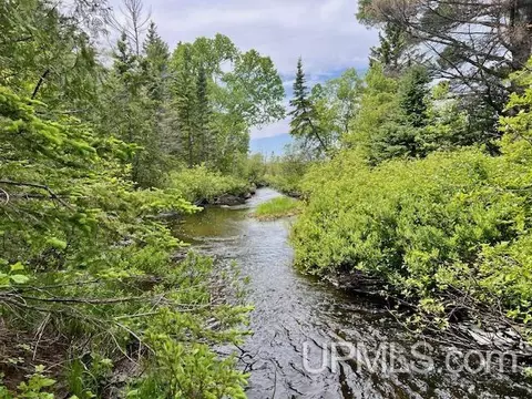 View/Area - 9217 Silver River Loop, Eagle Harbor, MI 49950 photo 6 of 22